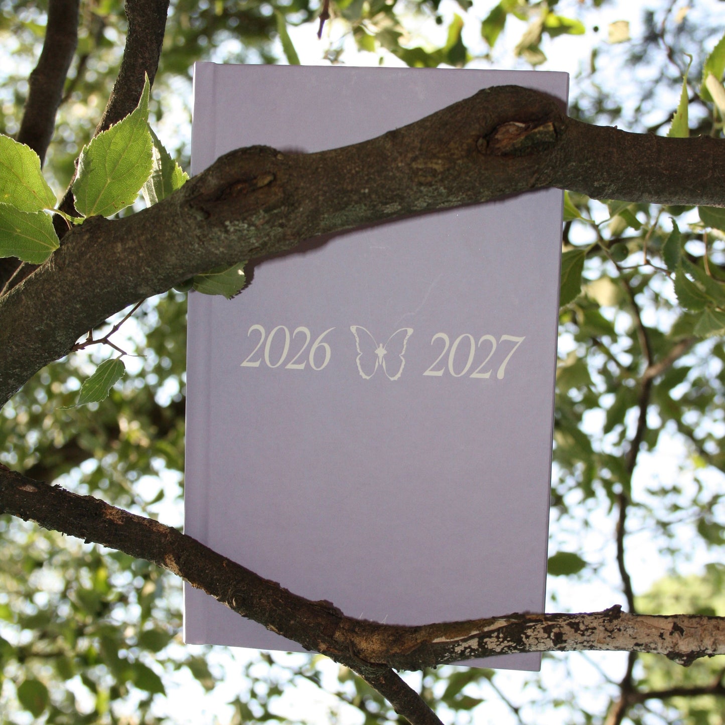 AGENDA A&A 2026/2027